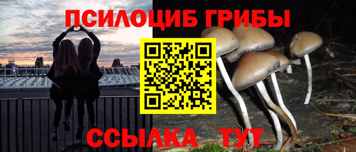 Псилоцибиновые грибы мухоморы  Вход с VPN  Псилоцибиновые грибы GOLDEN TEACHER  Ишим 
